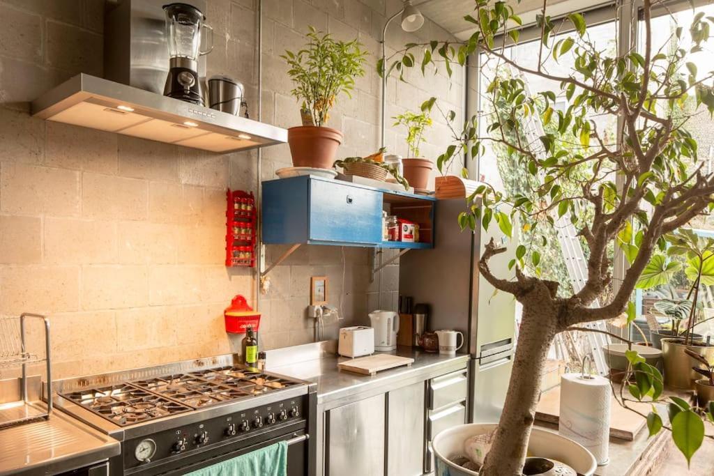 Mari'S: Multifunctional Shelter With Big Garden Gante Exterior foto